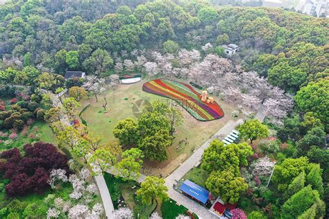 上方山|苏州苏州上方山国家森林公园游玩攻略简介,苏州苏州。